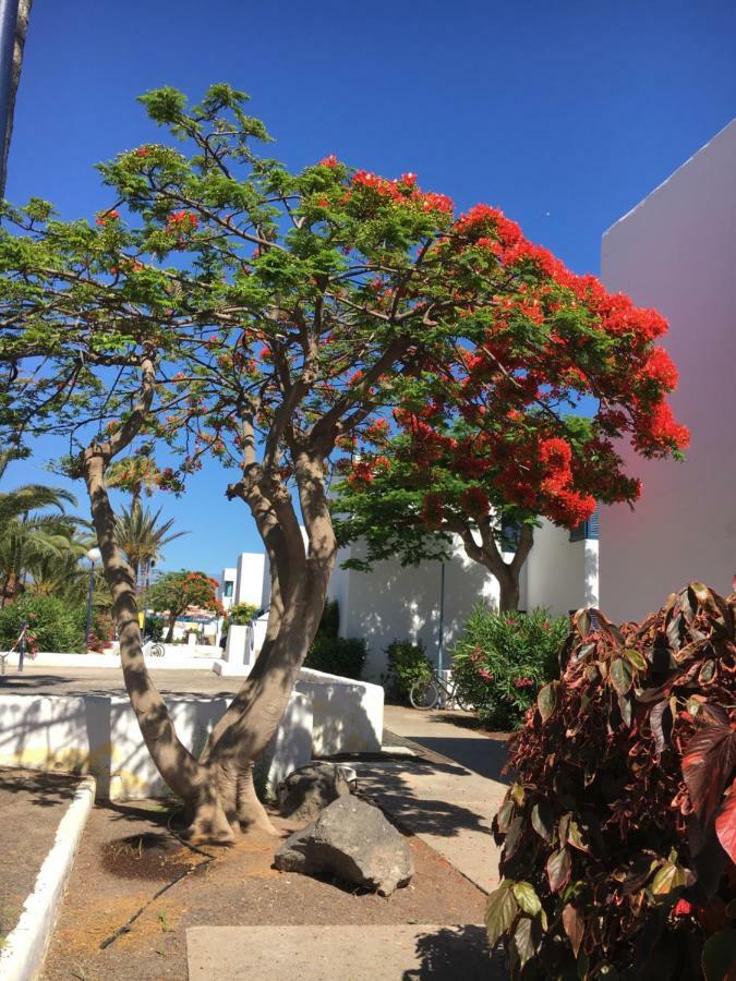 Los Barqueros Corralejo "Beach Front - Town Centre" Apartment Exterior photo